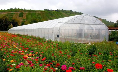 Växthus SCANDI® EasyArt bredd 8m och längd 40m, 320m²
