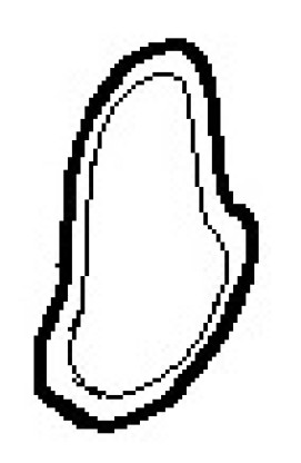 O-ring