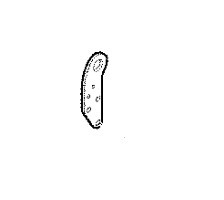 Krok