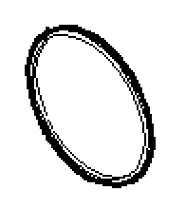 O-ring