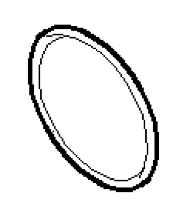 O-ring