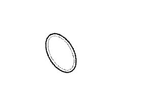 O-ring