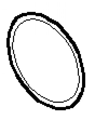 O-ring