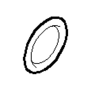 O-ring