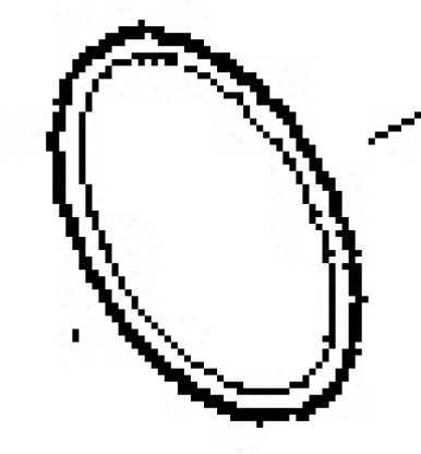 O-ring