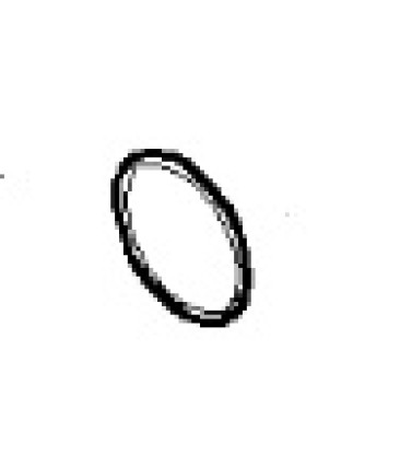 O-ring